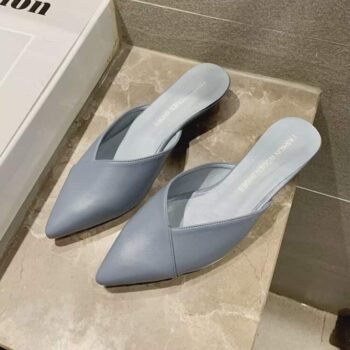 Low Heel Pointed Shoes for Women